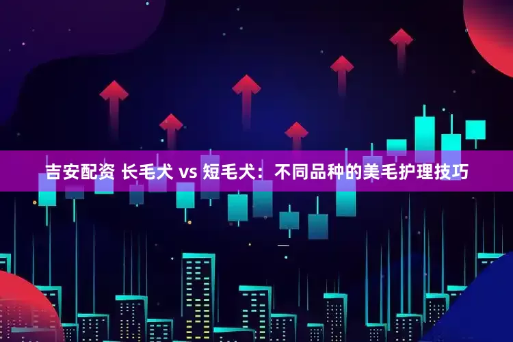 吉安配资 长毛犬 vs 短毛犬：不同品种的美毛护理技巧