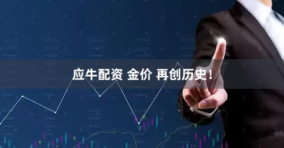应牛配资 金价 再创历史！