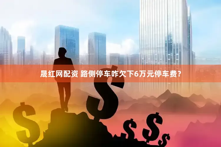 晟红网配资 路侧停车咋欠下6万元停车费？